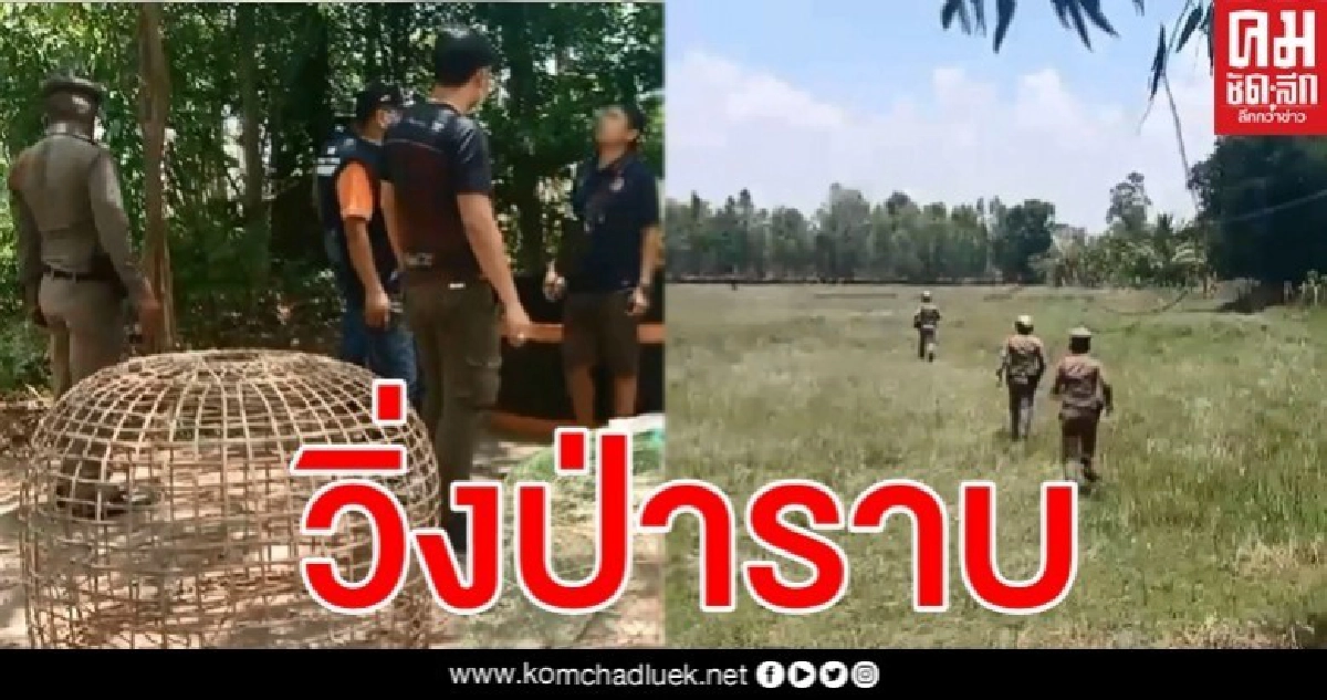 วงแตก เปิดคลิปนาทีบุกจับบ่อนไก่ชน นักพนันกว่า 40 คนวิ่งหนีกระเจิง วงแตก เปิดคลิปนาทีบุกจับบ่อนไก่ชน นักพนันกว่า 40 คนวิ่งหนีกระเจิง