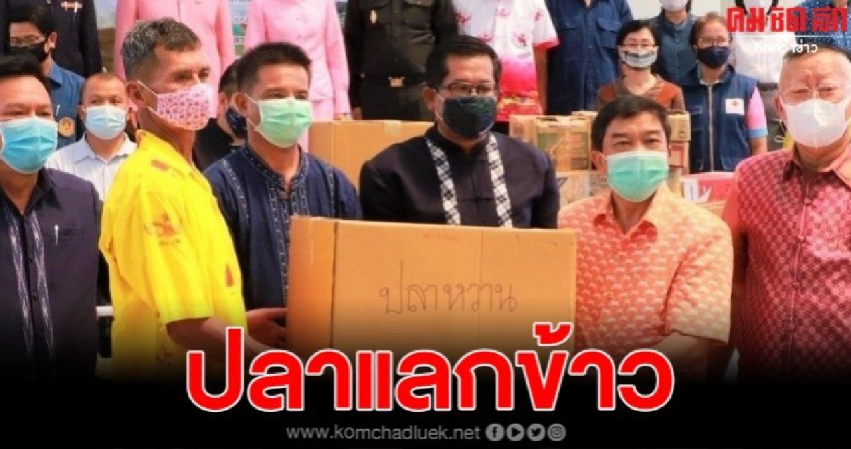 มาแล้วปลาทะเลแปรรูป ตามโครงการขนข้าวชาวนาแลกปลาชาวเล มาแล้วปลาทะเลแปรรูป ตามโครงการขนข้าวชาวนาแลกปลาชาวเล