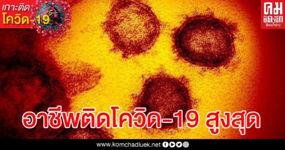 เปิด 10 อาชีพที่มีรายงานผู้ติดเชื้อโควิด-19 มากที่สุด เปิด 10 อาชีพที่มีรายงานผู้ติดเชื้อโควิด-19 มากที่สุด