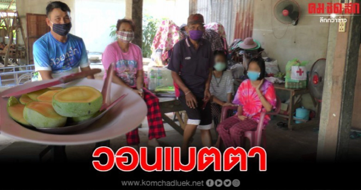 โควิดพ่นพิษ ต้องหาเก็บมะม่วงร่วงมากิน หลังเกิดโรคระบาดทำให้ไม่มีงานทำ ไร้หนทางเงินเยียวยาก็ไม่ได้ โควิดพ่นพิษ ต้องหาเก็บมะม่วงร่วงมากิน หลังเกิดโรคระบาดทำให้ไม่มีงานทำ ไร้หนทางเงินเยียวยาก็ไม่ได้