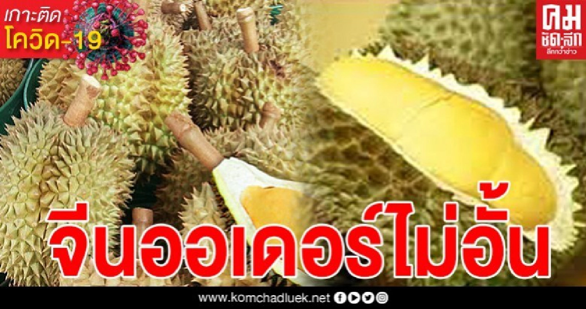 สวนกระแสโควิด จีนต้องการไม่อั้น ทุเรียนไทยออร์เดอร์ 20 ล้านตัน สวนกระแสโควิด จีนต้องการไม่อั้น ทุเรียนไทยออร์เดอร์ 20 ล้านตัน