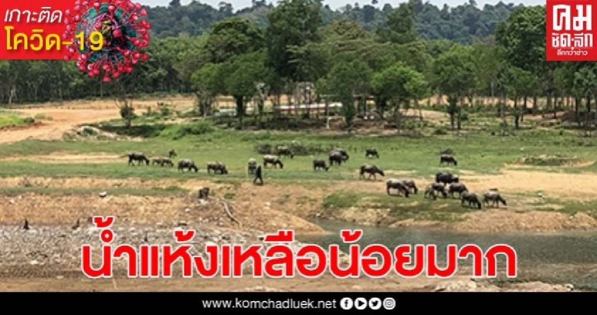 ชลประทานตราดเผยน้ำในอ่างเก็บน้ำ 7 แห่ง น้ำเหลือน้อยมาก ชลประทานตราดเผยน้ำในอ่างเก็บน้ำ 7 แห่ง น้ำเหลือน้อยมาก