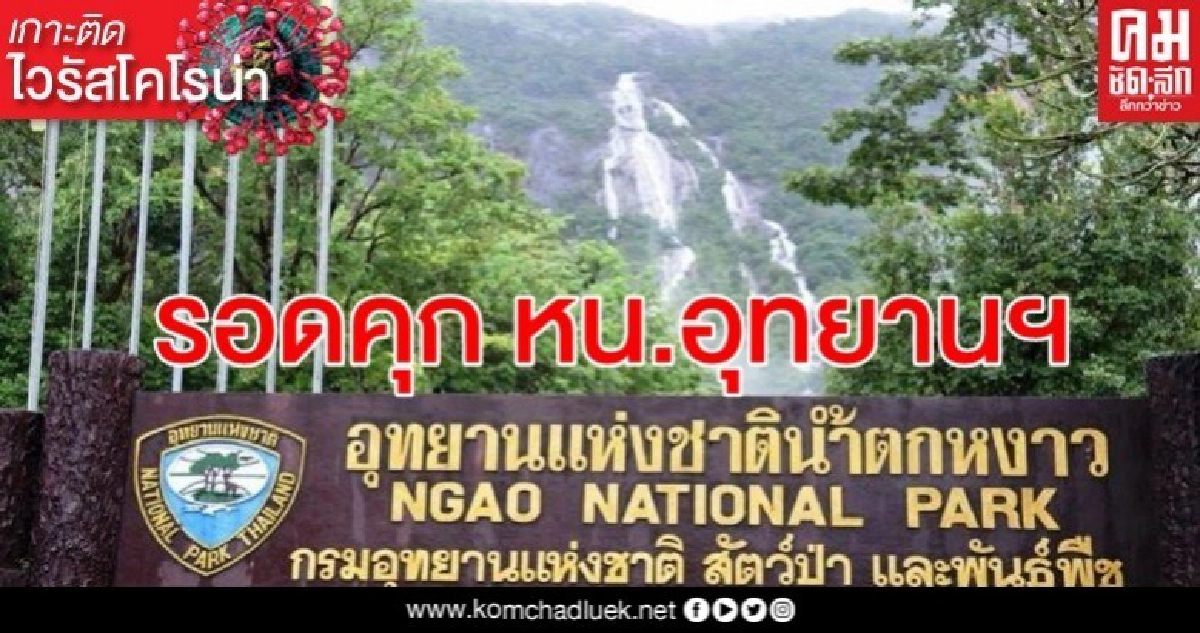  รอดคุก ศาลรอกำหนดโทษ หน.อุทยานฯหงาว ตั้งวงสังสรรค์