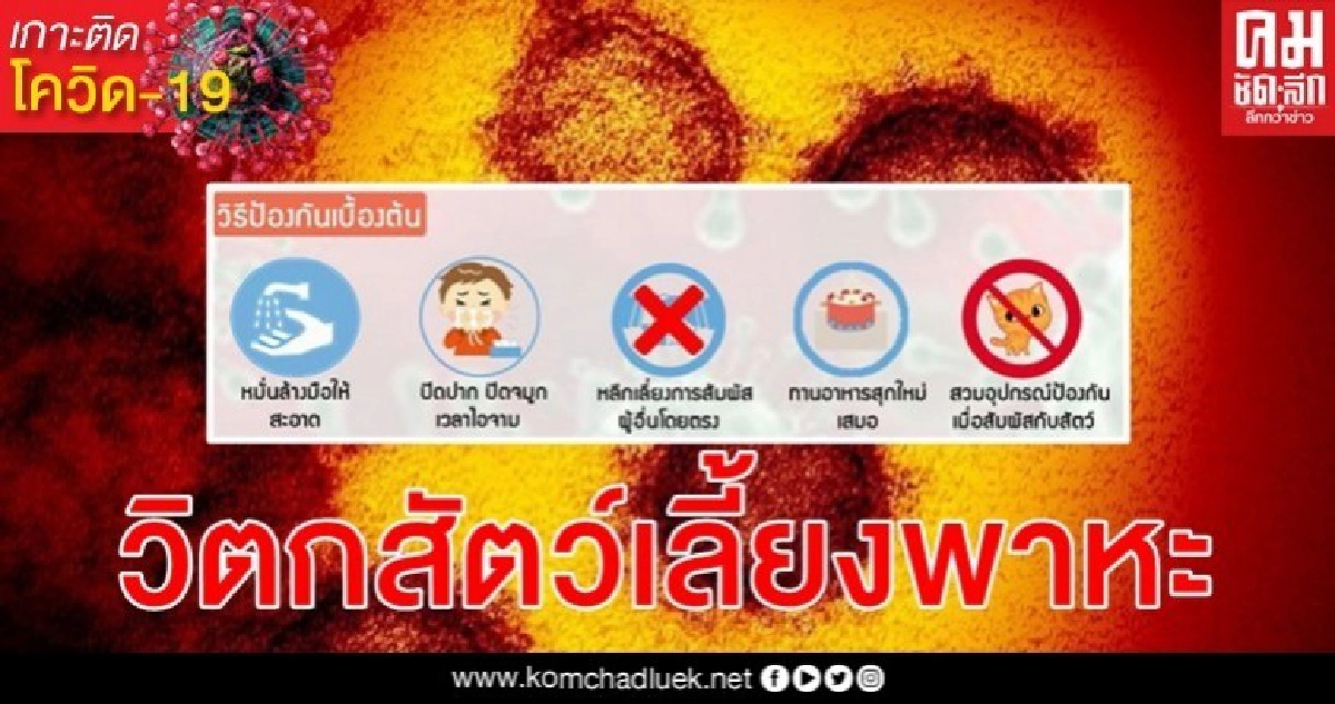 "สัตว์เลี้ยง" ติดเชื้อไวรัสโรคโควิด-19 หรือ COVID-19 ได้หรือไม่