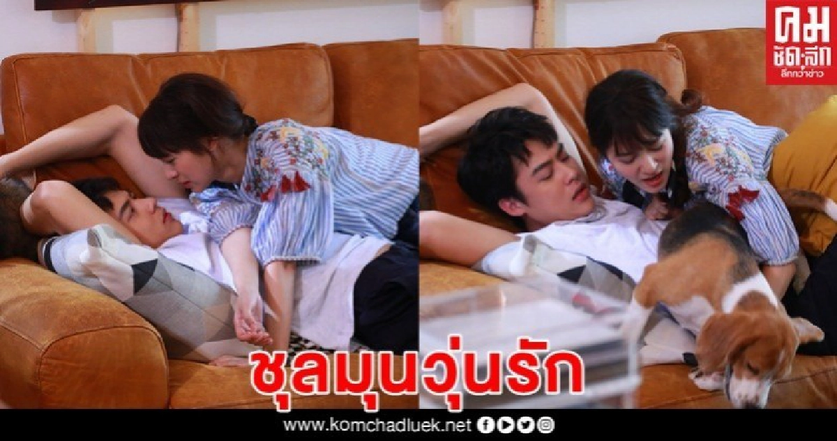 "หมาก-มิว" ชุลมุนบิ้วท์อารมณ์ หมา-แมว "หมาก-มิว" ชุลมุนบิ้วท์อารมณ์ หมา-แมว
