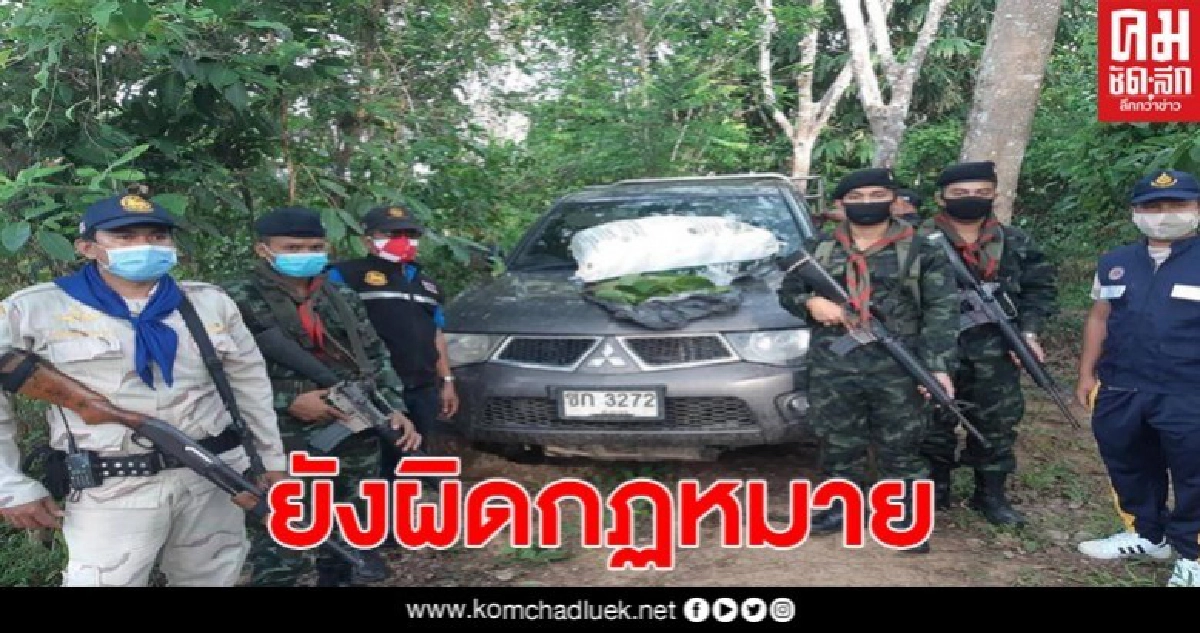 ป.ป.ส. แจงพืชกระท่อมยังผิดกฎหมาย ป.ป.ส. แจงพืชกระท่อมยังผิดกฎหมาย