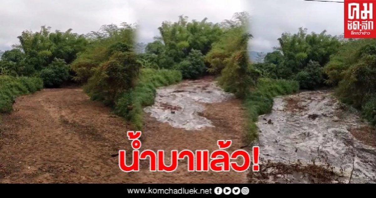 ชาวจอมทองเฮ เปิดภาพน้ำไหลลงดอยหลังแห้งขอดมานับเดือน ชาวจอมทองเฮ เปิดภาพน้ำไหลลงดอยหลังแห้งขอดมานับเดือน