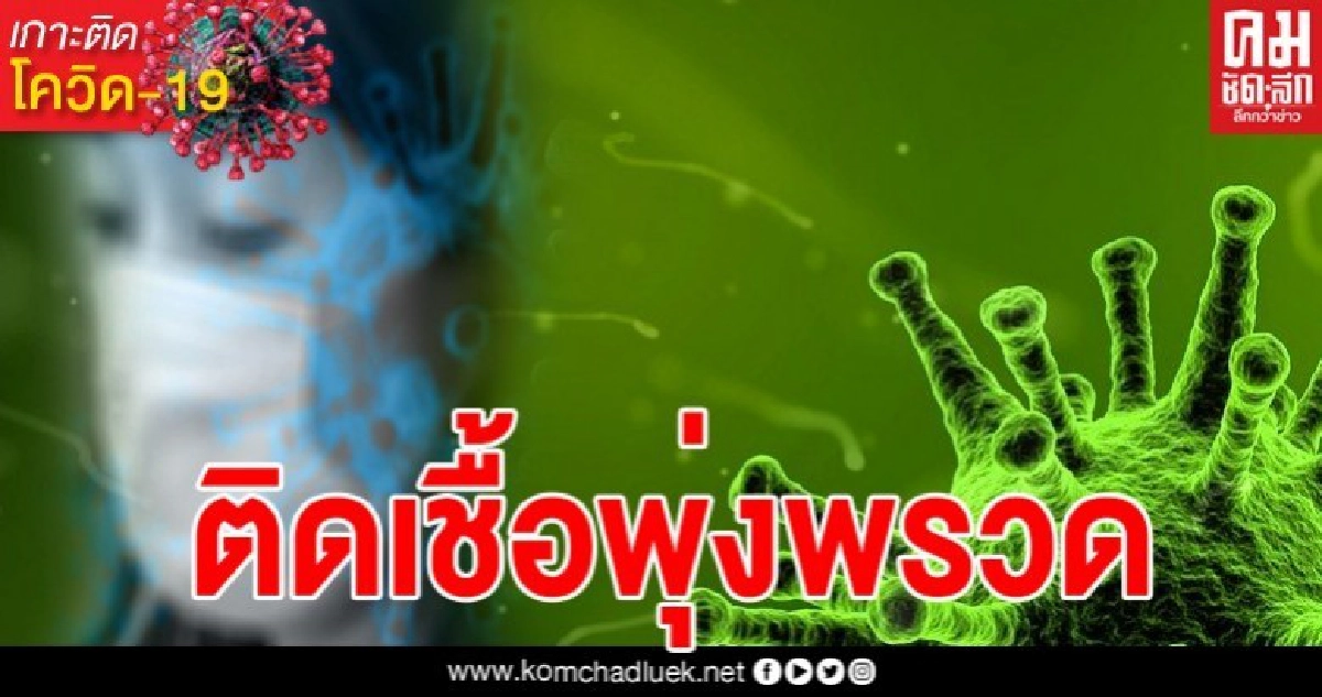 ปลัดสธ.เผยข้อมูล ภายใน 3 เดือน หากเกิดการระบาดโควิดจะเกิดอะไรขึ้น ปลัดสธ.เผยข้อมูล ภายใน 3 เดือน หากเกิดการระบาดโควิดจะเกิดอะไรขึ้น