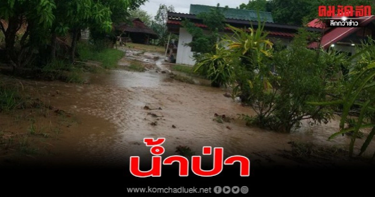 แม่ฮ่องสอน เมื่อคืนเกิดฝนตกหนักน้ำป่าไหลหลาก ทะลักเข้าท่วมพื้นที่การเกษตร แม่ฮ่องสอน เมื่อคืนเกิดฝนตกหนักน้ำป่าไหลหลาก ทะลักเข้าท่วมพื้นที่การเกษตร