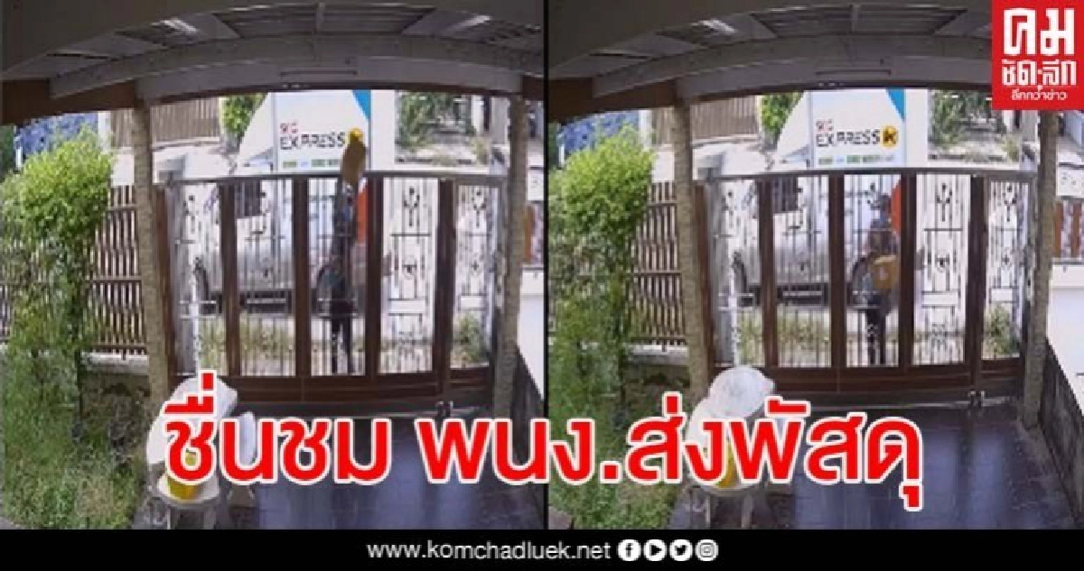 โซเชียลยกนิ้วให้ พนง.ส่งพัสดุบริการด้วยใจของแท้ ผู้รับเปิดกล้องดูแล้วยิ้มตาม