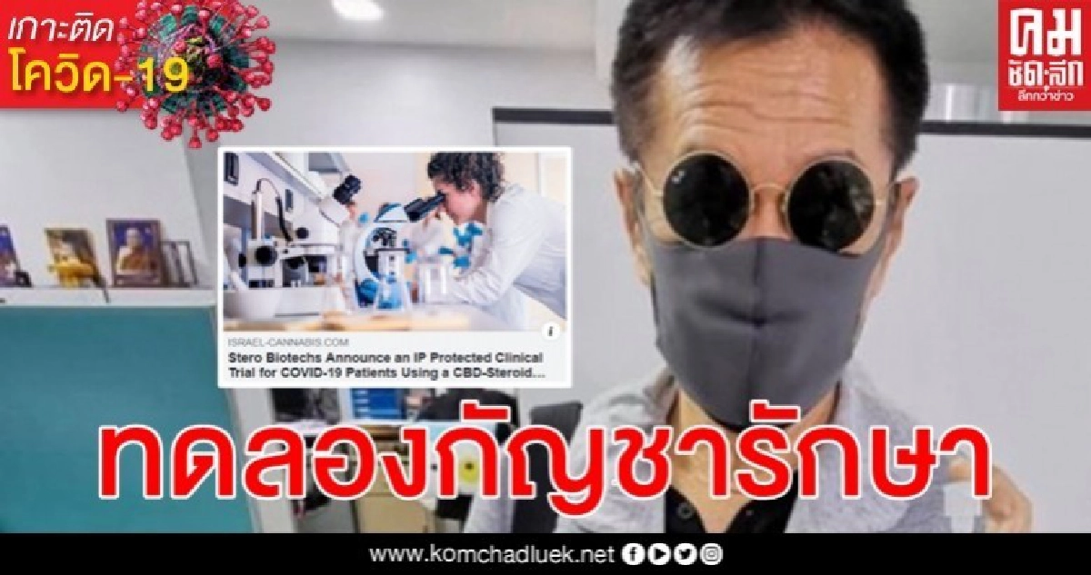 "หมอธีระวัฒน์" คาดไม่กี่สัปดาห์รู้ผลทดลองใช้กัญชารักษาโรคโควิด-19 "หมอธีระวัฒน์" คาดไม่กี่สัปดาห์รู้ผลทดลองใช้กัญชารักษาโรคโควิด-19