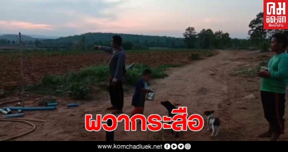 ชาวบ้าน เห็นไฟสีแดงดวงใหญ่ลอยไปมา ก่อนพบซากไก่เกลื่อน กลัวเป็นกระสือ ชาวบ้าน เห็นไฟสีแดงดวงใหญ่ลอยไปมา ก่อนพบซากไก่เกลื่อน กลัวเป็นกระสือ