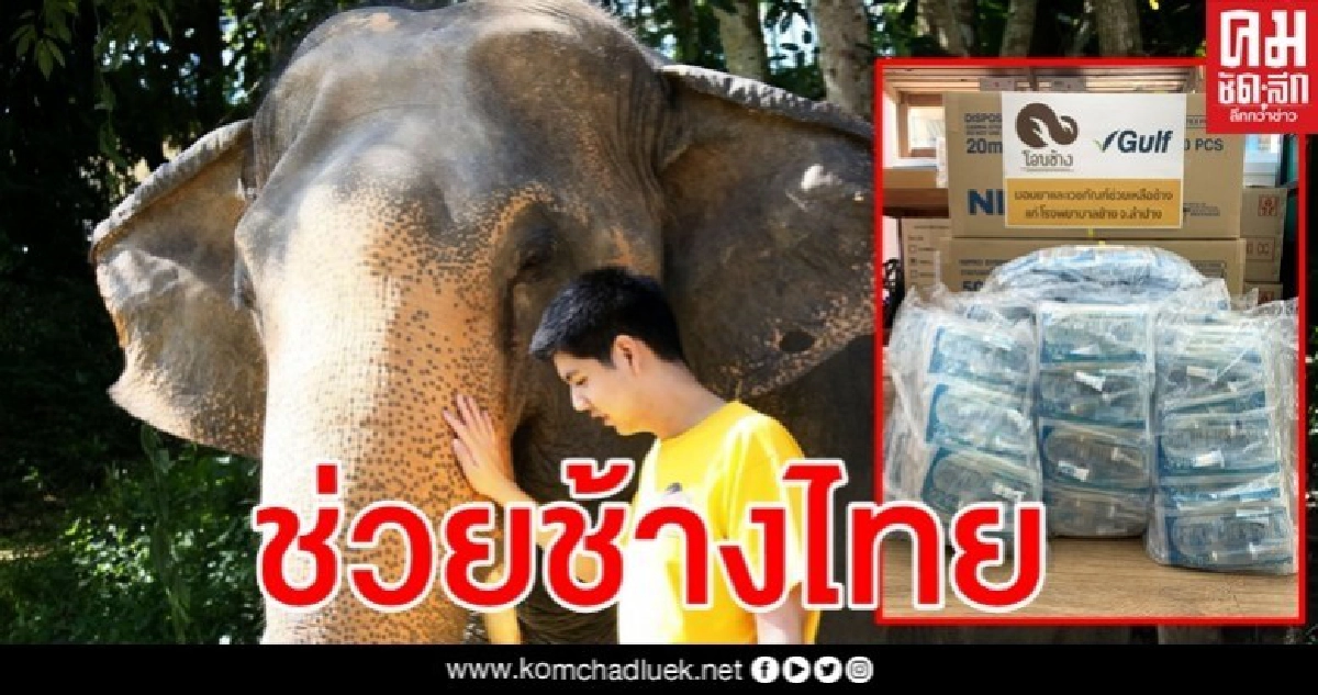กัลฟ์ ร่วมบริจาคภายใต้โครงการ "โอบช้าง" ช่วยเหลือช้างไทย ต่อสู้วิกฤตโควิด