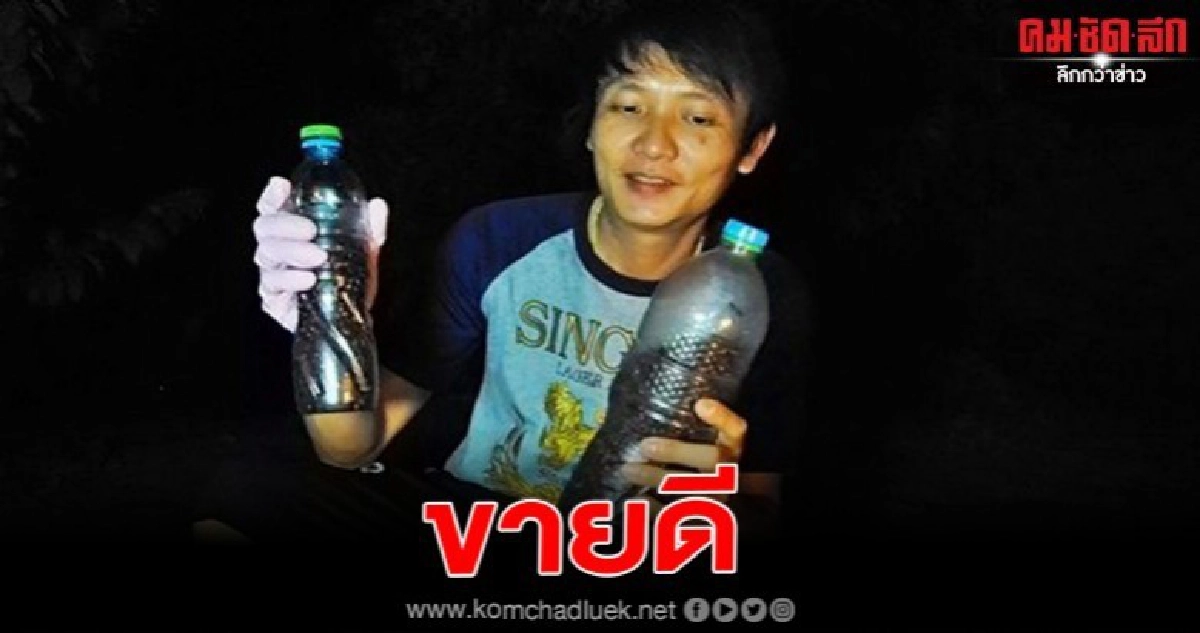 พะเยา หนุ่มขายซาลาเปาสู้ชีวิตหาเก็บแมงมันขาย สร้างรายได้เสริมในช่วงโควิด 19 ระบาด