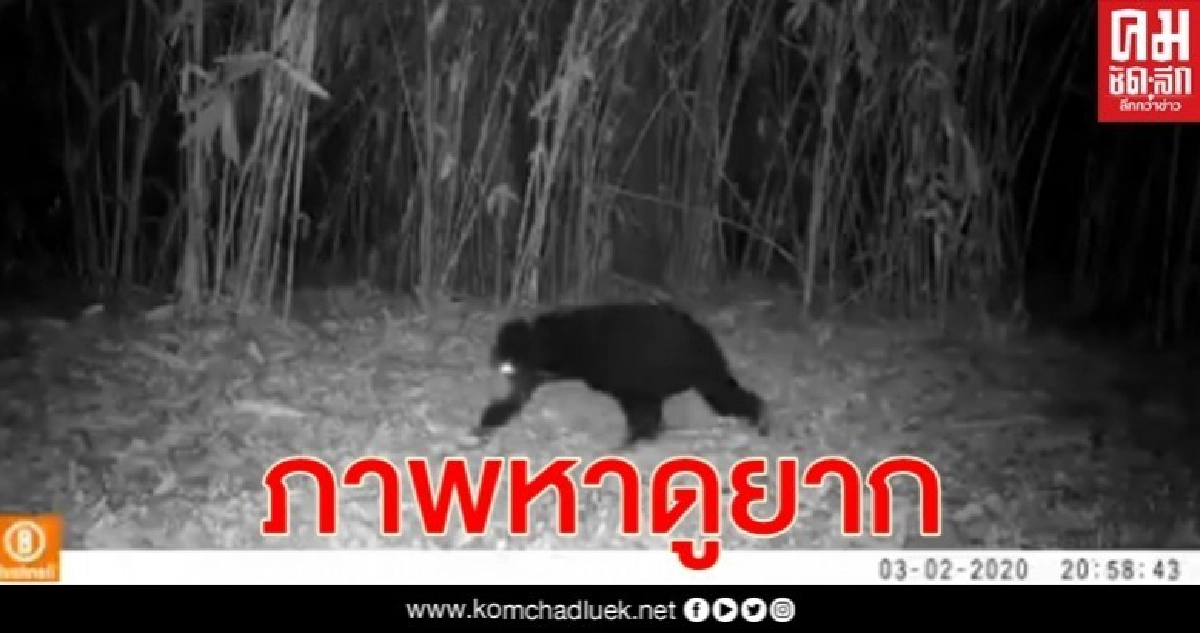 คลิป 15 วินาทีตอกย้ำให้เห็นความสมบูรณ์ของธรรมชาติ คลิป 15 วินาทีตอกย้ำให้เห็นความสมบูรณ์ของธรรมชาติ