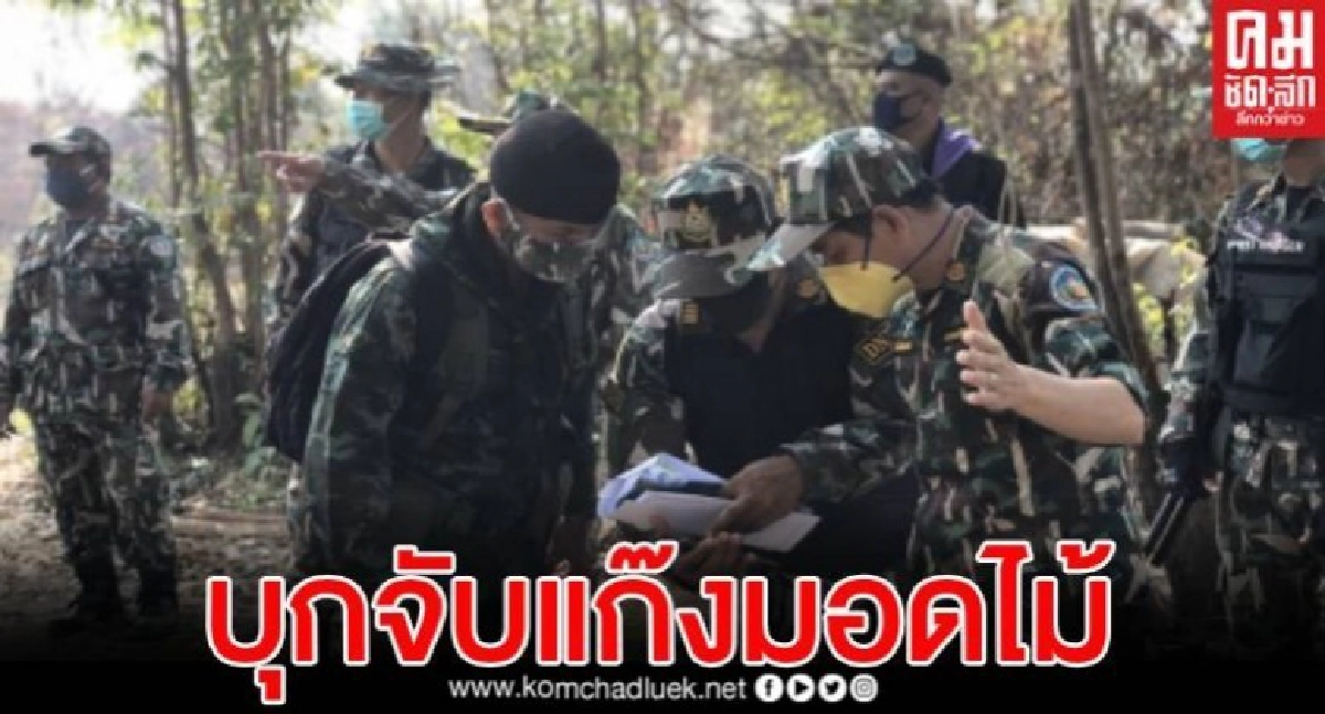 ไม่สนพรก.ฉุกเฉิน แก๊งมอดไม้กัมพูชา บุกตัดไม้ชายแดนไทย