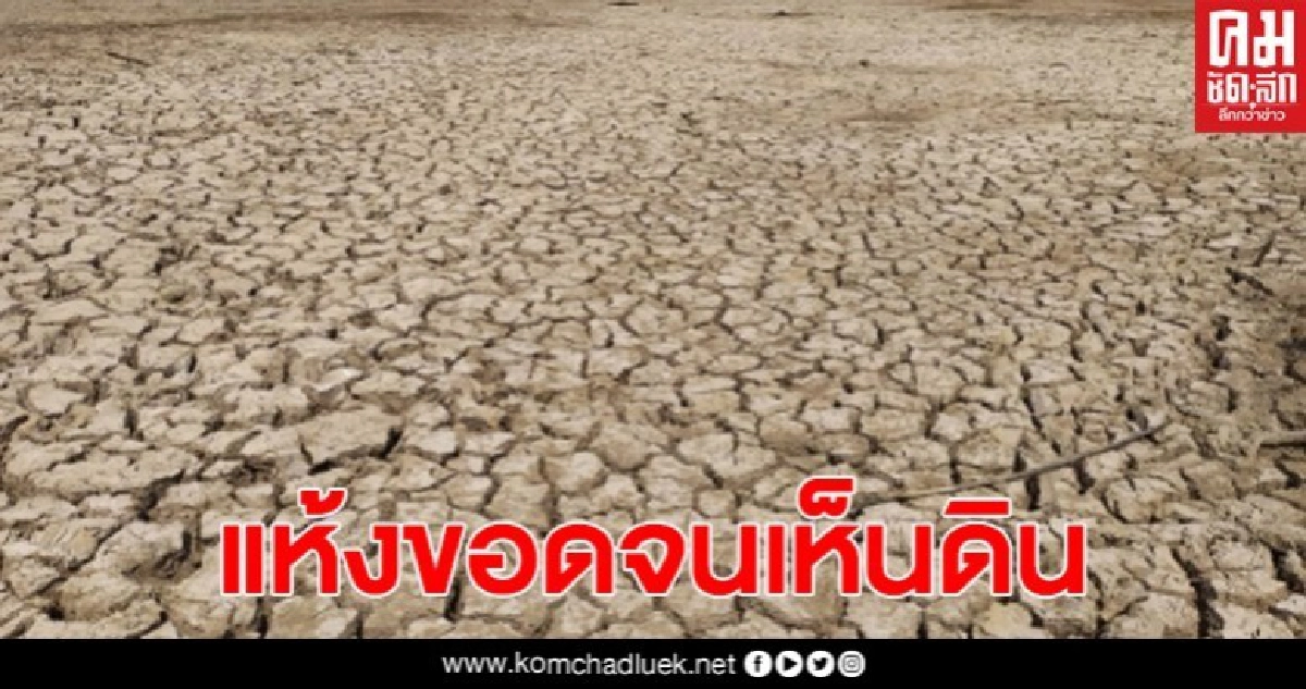 ยโสธร เจอภัยแล้ง ทำให้บ่อโจ้โก้ปริมาณน้ำแห้งขอด ยโสธร เจอภัยแล้ง ทำให้บ่อโจ้โก้ปริมาณน้ำแห้งขอด