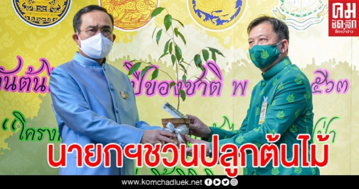 นายกฯชวนคนไทยปลูกต้นไม้เพิ่มพื้นที่สีเขียว