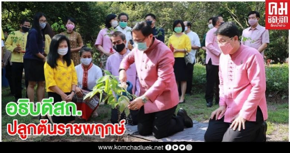 สถ.จัดกิจกรรมเนื่องในวันต้นไม้ประจำปีของชาติ ปี2563