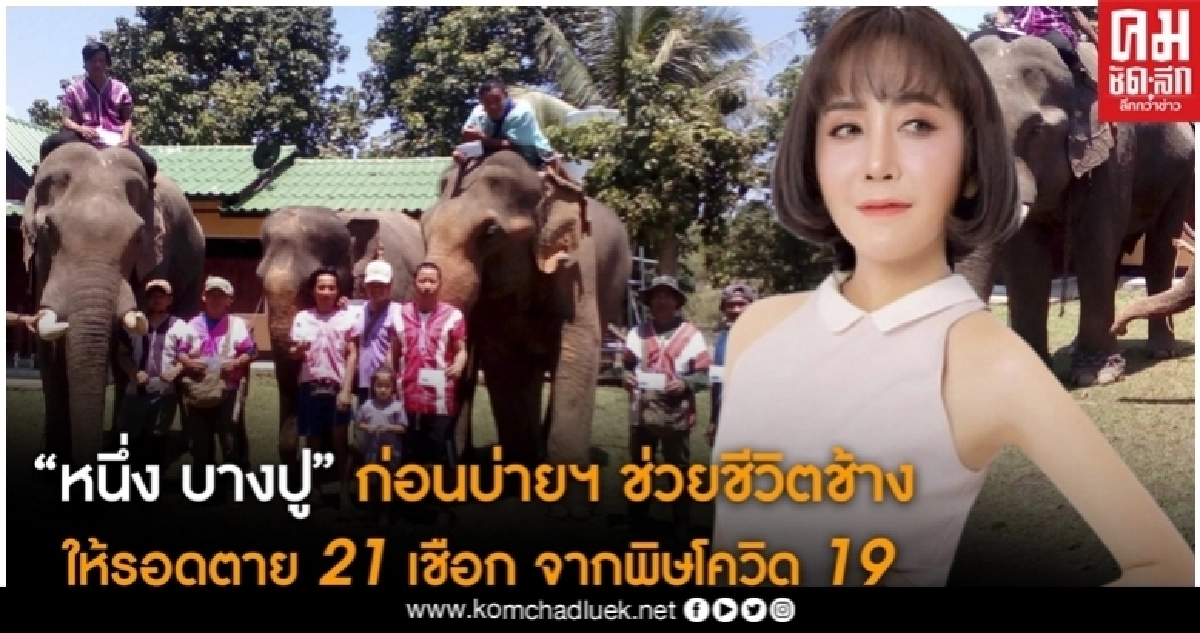 'หนึ่ง บางปู' ช่วยชีวิตควาน-ช้าง 21 เชือก