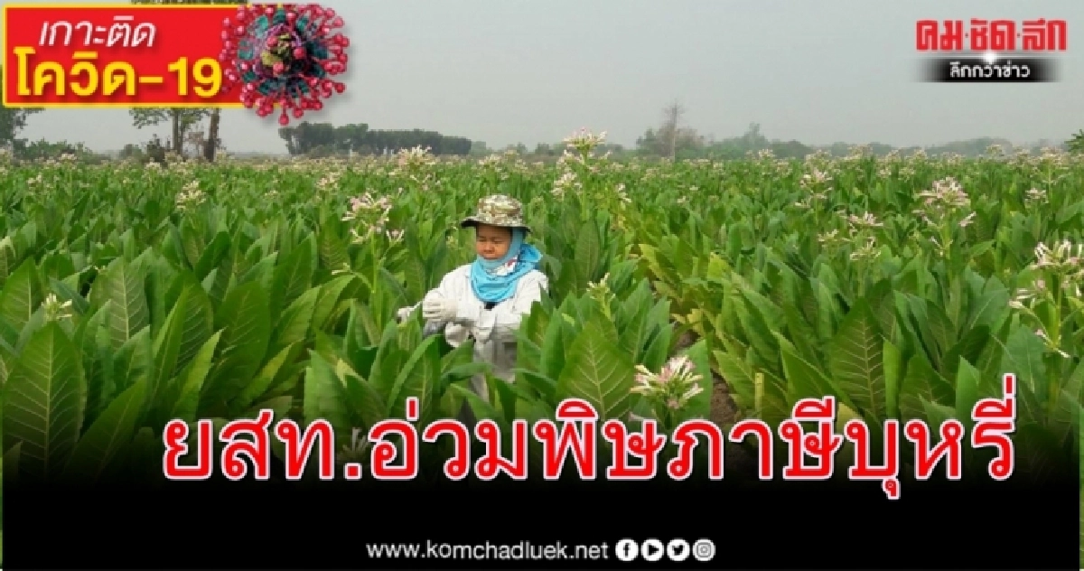 ยสท.อ่วมพิษภาษีบุหรี่ กำไรทรุด งดนำส่งรายได้รัฐ 3 ปีรวมกว่า 16,000 ล้านบาท ยสท.อ่วมพิษภาษีบุหรี่ กำไรทรุด งดนำส่งรายได้รัฐ 3 ปีรวมกว่า 16,000 ล้านบาท