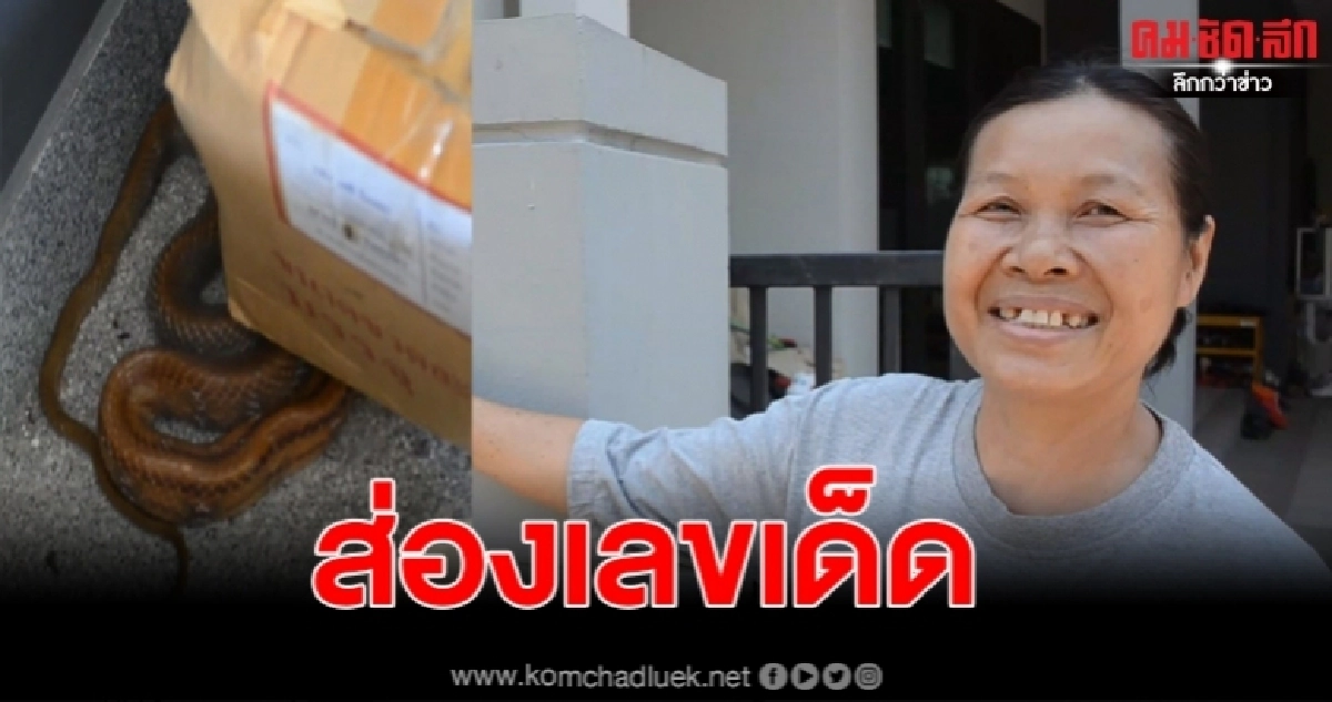 คอหวยเตรียมส่อง แม่บ้านฝันว่าจับปลาได้หลายตัว ก่อนมาเจองูทางมะพร้าวเลื้อยเข้าบ้าน คอหวยเตรียมส่อง แม่บ้านฝันว่าจับปลาได้หลายตัว ก่อนมาเจองูทางมะพร้าวเลื้อยเข้าบ้าน