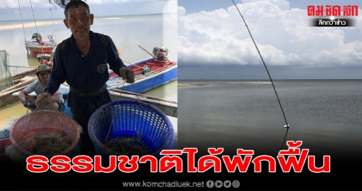 หลังโควิดพ่นพิษนักท่องเที่ยวหาย ส่งผลให้ทะเลสวย ปูปลาเพิ่มขึ้น ชาวประมงยังขายไม่ดีรอเศรษฐกิจฟื้น