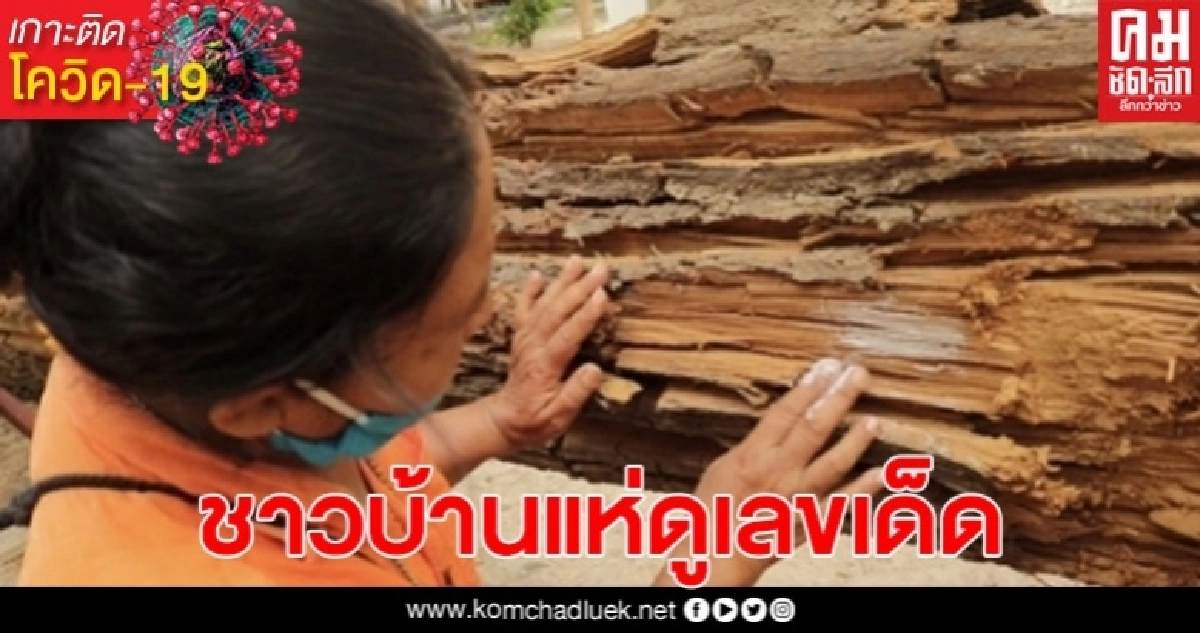 ชาวบ้านแห่ขอโชค แม่ตะเคียนทอง โรยแป้งขอเลขเด็ด ชาวบ้านแห่ขอโชค แม่ตะเคียนทอง โรยแป้งขอเลขเด็ด