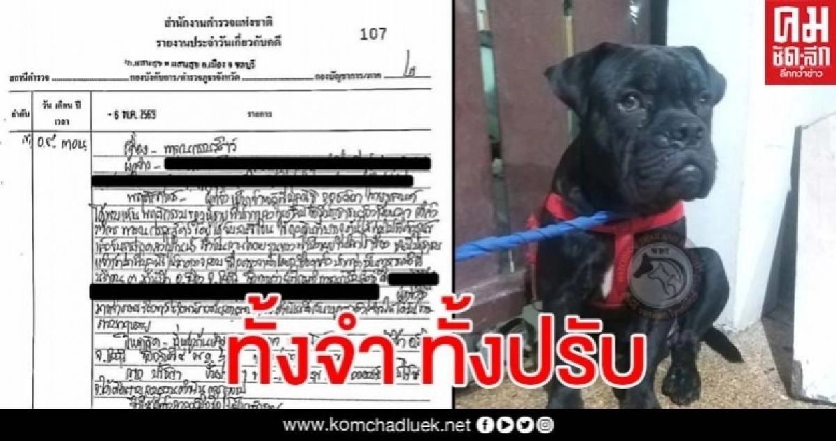 พิพากษาเจ้าของหมานมเย็นเซ่นปมคลิปฉาว และให้พ้นสภาพการเลี้ยงดู พิพากษาเจ้าของหมานมเย็นเซ่นปมคลิปฉาว และให้พ้นสภาพการเลี้ยงดู