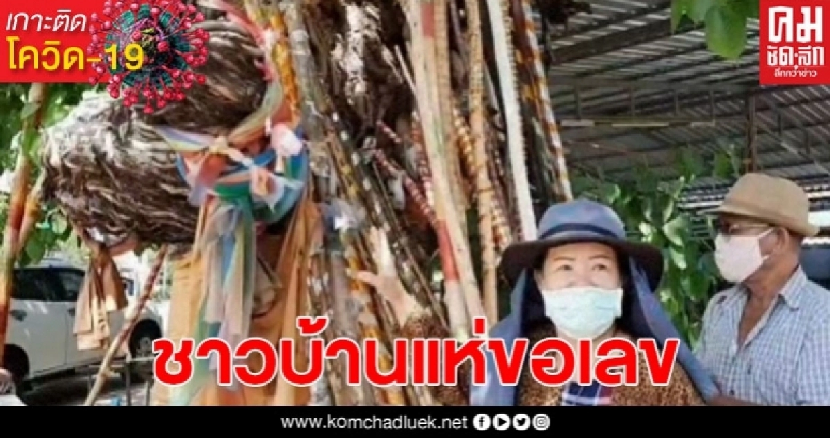 ชาวบ้านแห่ขอหวยรากต้นโพธิ์คล้ายพญานาค ชาวบ้านแห่ขอหวยรากต้นโพธิ์คล้ายพญานาค