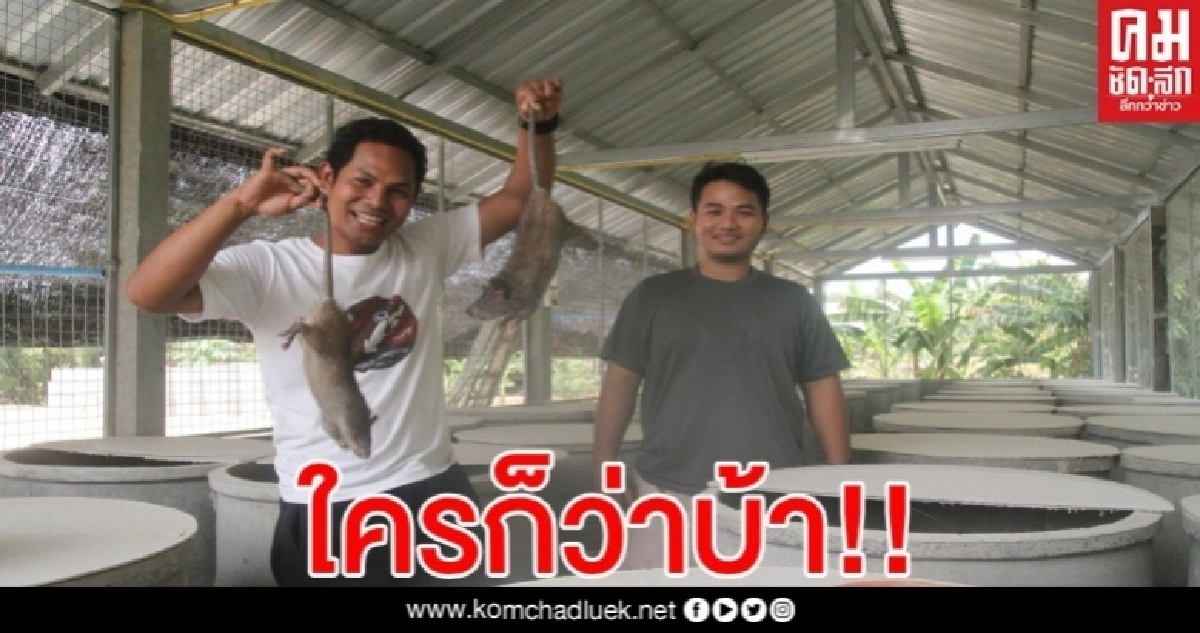 หนุ่มทิ้งเงินเดือน 8 หมื่น มาเลี้ยงหนูนาได้เดือนละ 2 แสน