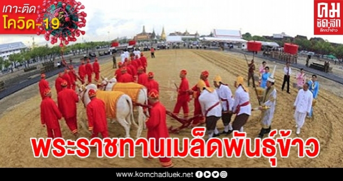 ในหลวงพระราชทานเมล็ดพันธุ์ข้าว 5 สายพันธุ์แจกเกษตรกรในวันพืชมงคล