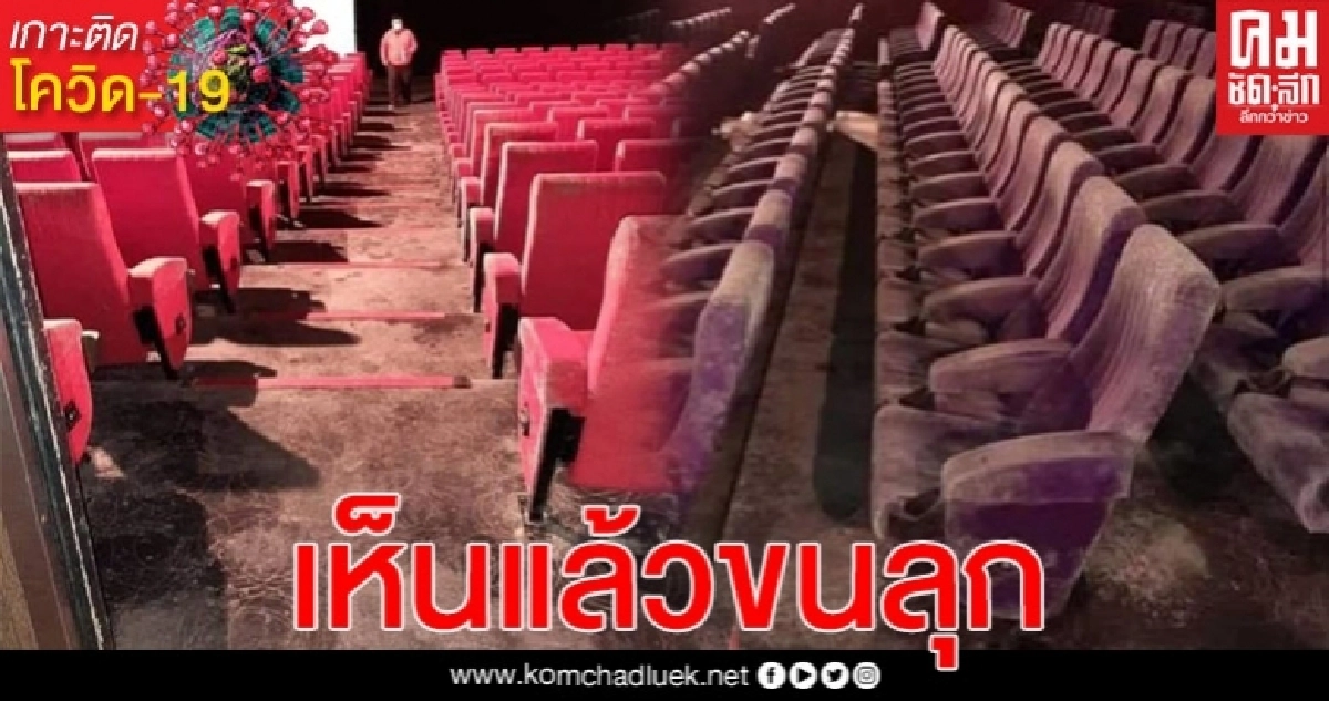 "ขนลุก"โรงหนังปิดหนีโควิด-19 เจอเชื้อราขึ้นเต็มทั้งเก้าอี้ พรมทางเดิน "ขนลุก"โรงหนังปิดหนีโควิด-19 เจอเชื้อราขึ้นเต็มทั้งเก้าอี้ พรมทางเดิน