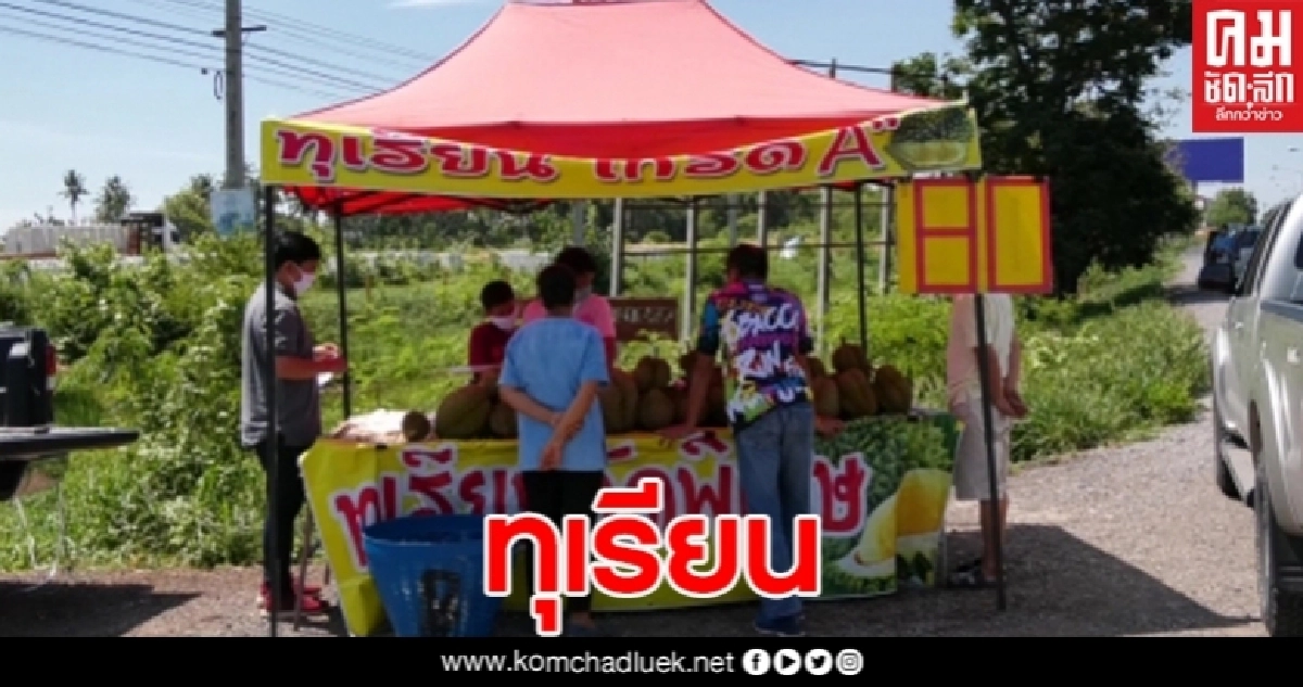 สีสันคนแห่ซื้อ ทุเรียนริมทางบายพาสโคราช-ขอนแก่น ราคาถูก สีสันคนแห่ซื้อ ทุเรียนริมทางบายพาสโคราช-ขอนแก่น ราคาถูก