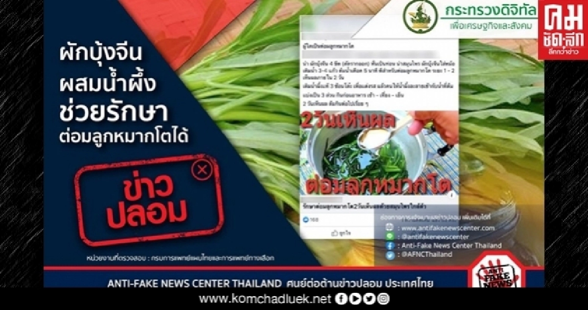 ข่าวปลอมอย่าแชร์ "ผักบุ้งจีนผสมน้ำผึ้ง ช่วยรักษาต่อมลูกหมากโตได้" ข่าวปลอมอย่าแชร์ "ผักบุ้งจีนผสมน้ำผึ้ง ช่วยรักษาต่อมลูกหมากโตได้"