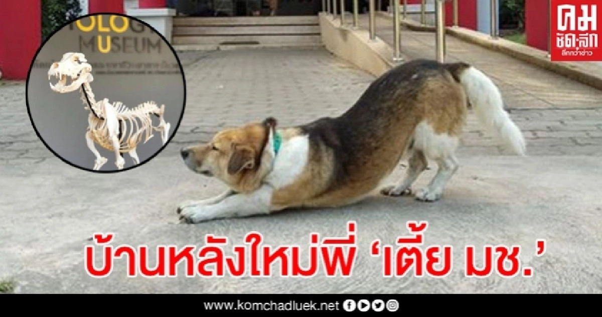 บ้านหลังใหม่ของพี่ 'เตี้ย มช.' แฟนคลับสุดคิดถึง บ้านหลังใหม่ของพี่ 'เตี้ย มช.' แฟนคลับสุดคิดถึง