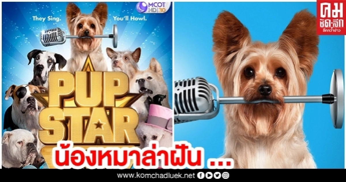ช่อง 9 MCOT HD ส่งหนัง 'น้องหมาล่าฝัน' ให้ความสุขคนดู ช่อง 9 MCOT HD ส่งหนัง 'น้องหมาล่าฝัน' ให้ความสุขคนดู