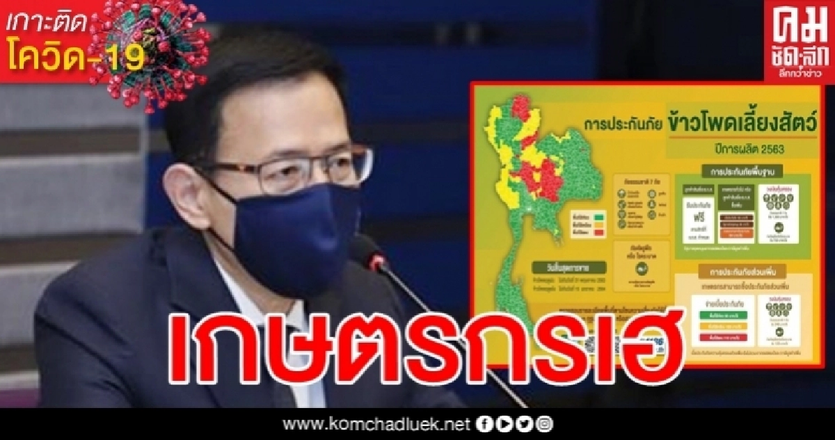 เกษตรกรเฮ ครม.อนุมัติโครงการประกันภัยข้าวโพดเลี้ยงสัตว์ วงเงิน 313.98 ล้านบาท เกษตรกรเฮ ครม.อนุมัติโครงการประกันภัยข้าวโพดเลี้ยงสัตว์ วงเงิน 313.98 ล้านบาท