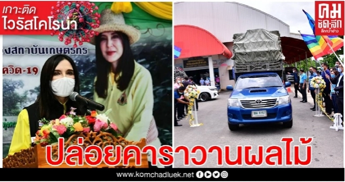 "มนัญญา"ปล่อยคาราวานผลไม้สหกรณ์ภาค ตอ. กระจายสู่ผู้บริโภคทั่วปท.หวังดันราคาผลไม้ช่วยเกษตรพ้นวิกฤติ"โควิด 19" "มนัญญา"ปล่อยคาราวานผลไม้สหกรณ์ภาค ตอ. กระจายสู่ผู้บริโภคทั่วปท.หวังดันราคาผลไม้ช่วยเกษตรพ้นวิกฤติ"โควิด 19"
