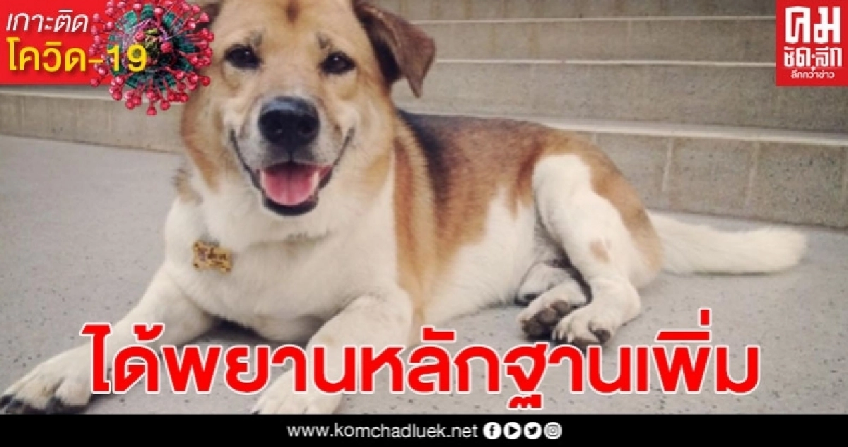 คดีพี่เตี้ย มช.ได้พยานหลักฐานเพิ่มเอาผิดตำรวจหนุ่ม