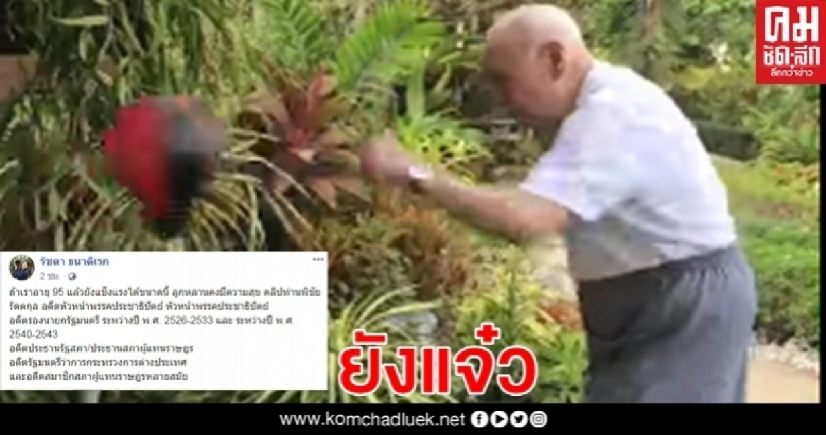 95 ปี ยังฟิตปั๋ง "ปู่พิชัย" โชว์ชก "พันชิ่งบอล " 