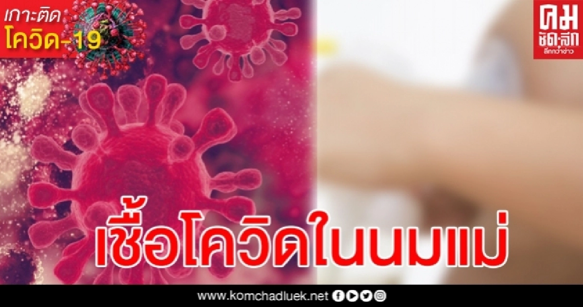 พบเชื้อโควิด-19 ในน้ำนมแม่เป็นแสนตัวต่อซีซี พบเชื้อโควิด-19 ในน้ำนมแม่เป็นแสนตัวต่อซีซี
