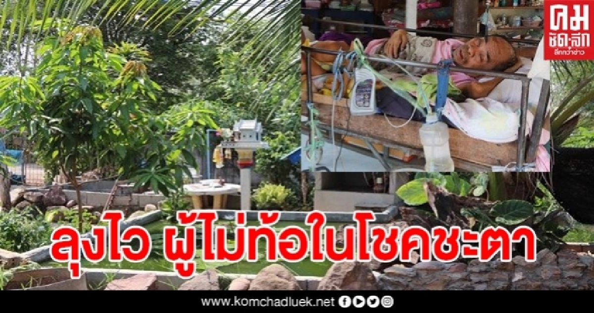 "ลุงไว" ชายพิการหัวใจทรนง เลี้ยงกบ เลี้ยงปลา ส่งลูกเรียนจบปริญญาแม้ร่างจะติดเตียง "ลุงไว" ชายพิการหัวใจทรนง เลี้ยงกบ เลี้ยงปลา ส่งลูกเรียนจบปริญญาแม้ร่างจะติดเตียง