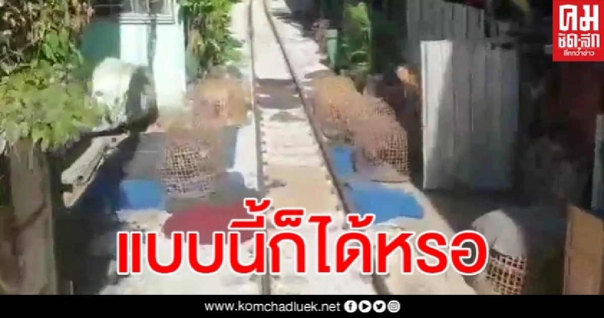 ชาวบ้านตั้งสุ่มไก่ขวางทางรถไฟ ก่อนเจอกวาดกระจุยทั้งสุ่ม ทั้งไก่ ชาวบ้านตั้งสุ่มไก่ขวางทางรถไฟ ก่อนเจอกวาดกระจุยทั้งสุ่ม ทั้งไก่
