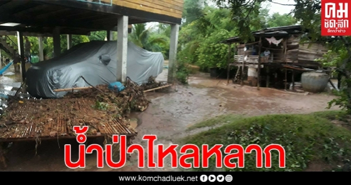 "พิษณุโลก"ฝนตกหนัก น้ำป่าหลากท่วมบ้านท่าข้าม ต.วังนกแอ่น "พิษณุโลก"ฝนตกหนัก น้ำป่าหลากท่วมบ้านท่าข้าม ต.วังนกแอ่น