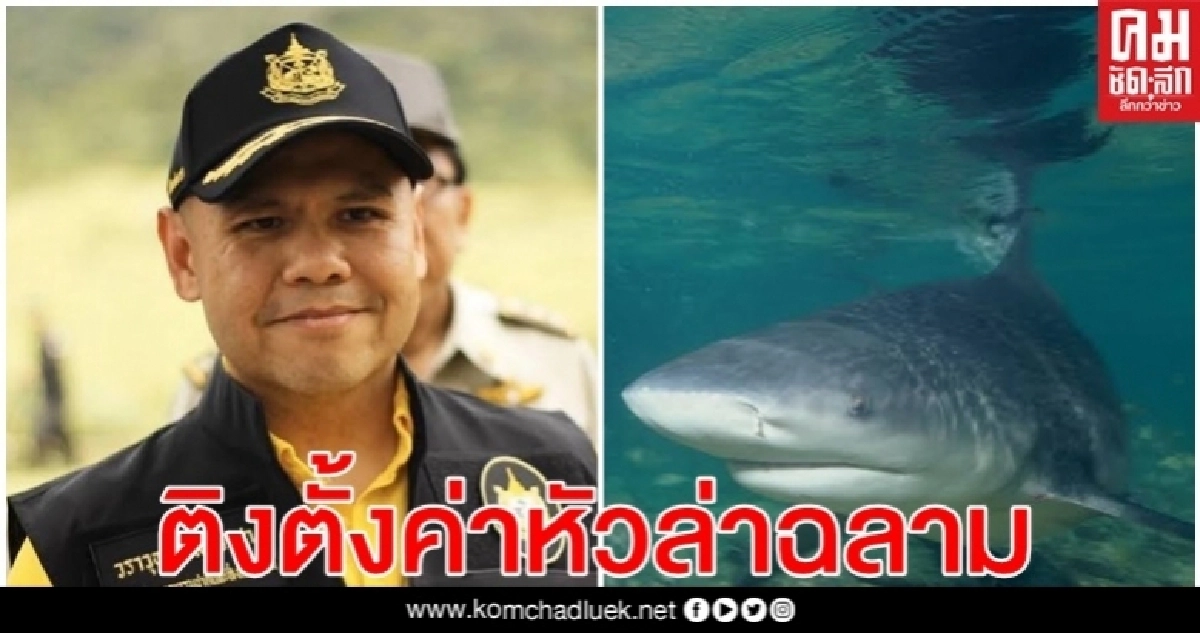 "วราวุธ" ติง"นายกเทศมนตรีเจ๊ะบิลัง" ตั้งค่าหัวล่าฉลาม "วราวุธ" ติง"นายกเทศมนตรีเจ๊ะบิลัง" ตั้งค่าหัวล่าฉลาม