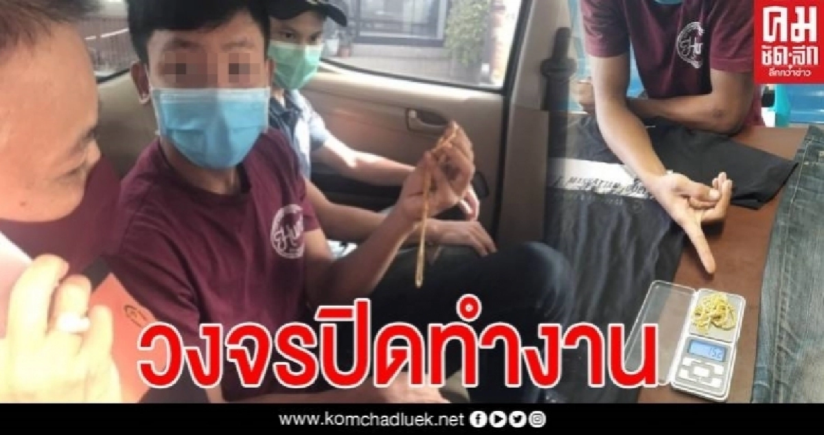คาหนังคาเขา วงจรปิดทำงาน ผีพนันจนมุม คาหนังคาเขา วงจรปิดทำงาน ผีพนันจนมุม
