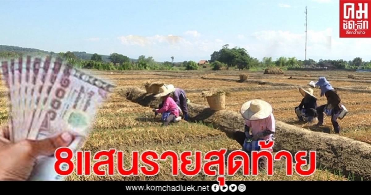 เช็กสิทธิ์"เงินเยียวยาเกษตรกร" 8 แสนรายสุดท้าย ได้เงิน 1-2 มิถุนายน นี้