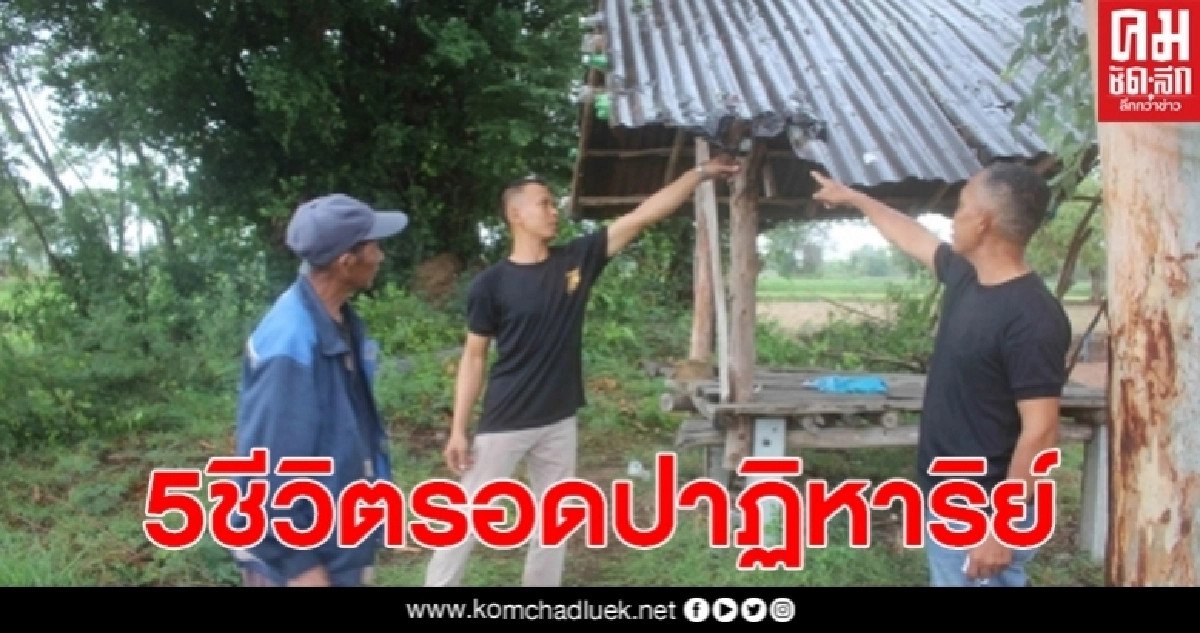 สุดเหลือเชื่อฟ้าผ่าเปรี้ยง ชาวนา 5 ชีวิตรอดตายปาฏิหาริย์