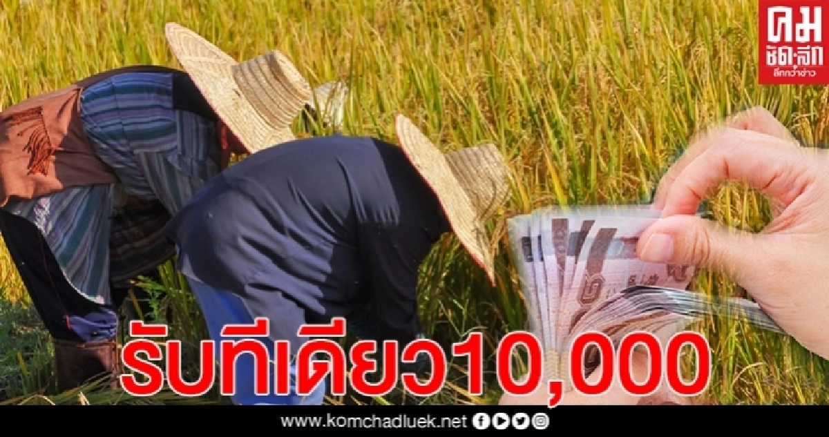 เช็กด่วน"เงินเยียวยาเกษตรกร" กลุ่มสองรับทีเดียว 10,000 บาท